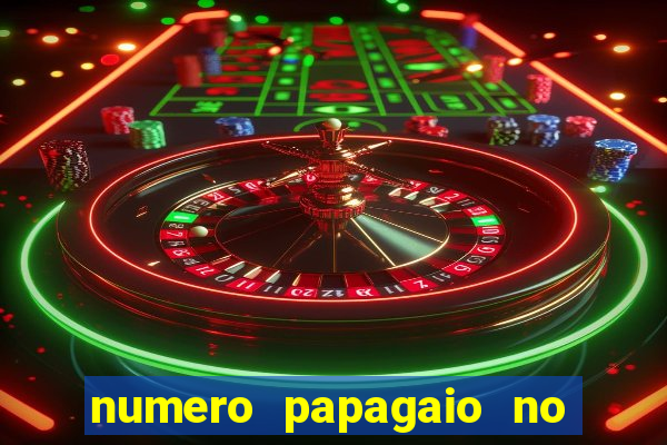 numero papagaio no jogo do bicho